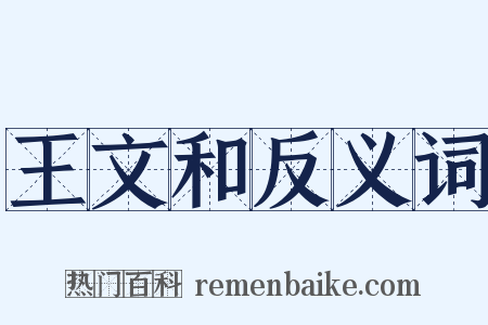 王文和反义词是什么意思的图片